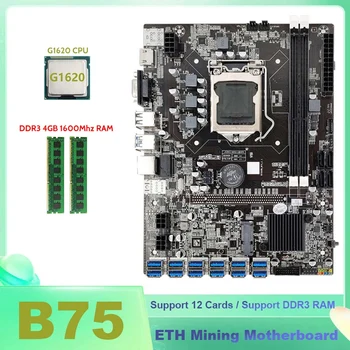 B75 ETH Madencilik Anakart 12 XPCIE İle USB'ye G1620 CPU + 2XDDR3 4GB 1600Mhz RAM Bellek B75 USB BTC Madenci Anakart 16