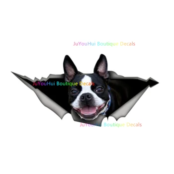 JuYouHuı Dış Aksesuarları Çıkartması Kişilik Araba Çıkartmaları 3D Boston Terrier Hayvan Oto Dekoratif Pencere Su Geçirmez Çıkartmaları