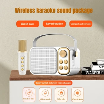 Mini Aile Karaoke Boombox Kablosuz Mikrofon İle Açık Taşınabilir Retro Bluetooth Hoparlörler Yüksek Kaliteli Stereo Ses Sütun 3
