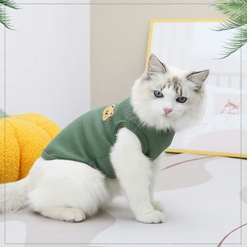Pet Kedi Giysileri Ayı Baskı Yelek Yavru Yavru Ekip Boyun Kolsuz T-shirt İlkbahar Yaz Rahat Giyim Küçük Orta Köpekler için 20