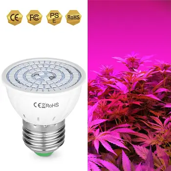Tam Spektrum E27 220V LED Bitki Büyümek Ampul Fitolampy Phyto iç mekan lambası Bahçe Bitkileri Çiçek hidrofonik büyütme çadırı Kutusu 1