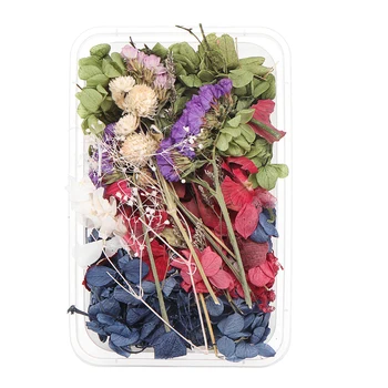 Yeni 1 Kutu Gerçek Kurutulmuş Yaprak Çiçekler Bitki Herbaryum Zanaat Takı Yapımı Döküm Aracı DIY Cep Telefonu Kabuk 14